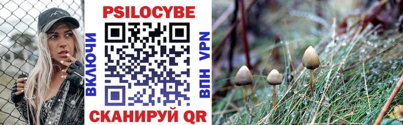 Галлюциногенные грибы мухоморы  Купить  Асино 