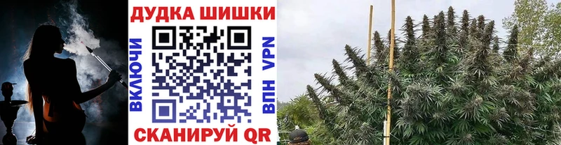Конопля Amnesia  Купить закладки  Асино 